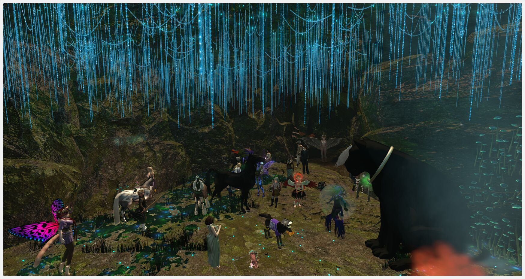 bards day 2010